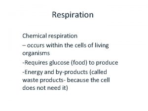 Respiration Chemical respiration occurs within the cells of