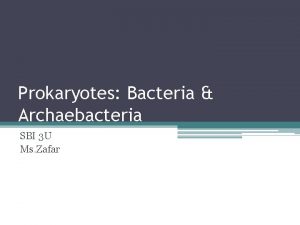 Prokaryotes Bacteria Archaebacteria SBI 3 U Ms Zafar