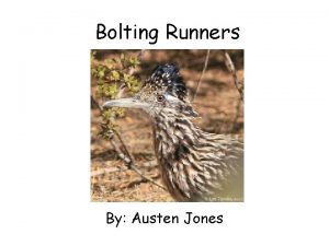 Bolting Runners By Austen Jones Table of Contents