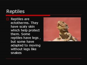 Reptiles o Reptiles are ectotherms They have scaly
