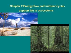 Chapter 2 Energy flow and nutrient cycles support