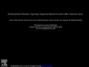 Erythropoietin Receptor Signaling Supports Retinal Function after Vascular