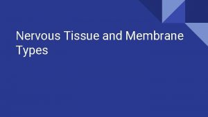 Nervous Tissue and Membrane Types Nervous Tissue 2