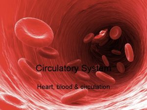 Circulatory System Heart blood circulation P g 241