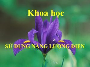 Khoa hc S DNG NNG LNG IN 2