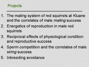 Projects 1 The mating system of red squirrels