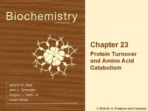 Chapter 23 Protein Turnover and Amino Acid Catabolism