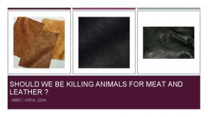 SHOULD WE BE KILLING ANIMALS FOR MEAT AND