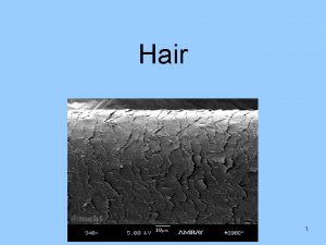 Hair 1 Biology of Hair Hair is composed