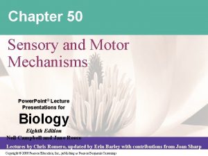 Chapter 50 Sensory and Motor Mechanisms Power Point