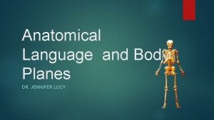 Anatomical Language and Body Planes DR JENNIFER LUCY