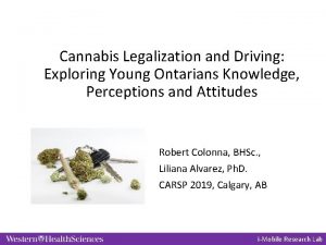 Cannabis Legalization and Driving Exploring Young Ontarians Knowledge