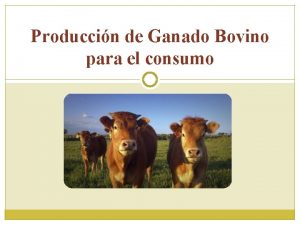 Produccin de Ganado Bovino para el consumo Objetivo