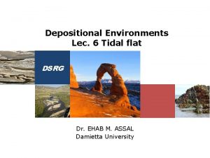 Depositional Environments Lec 6 Tidal flat DSRG Dr