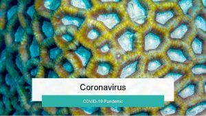 Coronavirus COVID19 Pandemic Coronavirus Also known as SARSCo