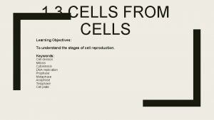 1 3 CELLS FROM CELLS Learning Objectives To