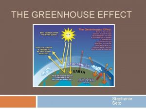 THE GREENHOUSE EFFECT Stephanie Seto The Carbon Cycle