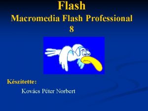 Flash Macromedia Flash Professional 8 Ksztette Kovcs Pter