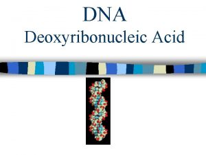 DNA Deoxyribonucleic Acid DNA is called the blueprint