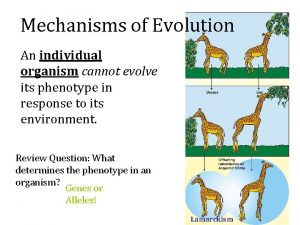 Mechanisms of Evolution An individual organism cannot evolve