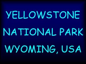 YELLOWSTONE NATIONAL PARK WYOMING USA Yellowstonsk nrodn park