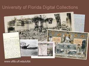 University of Florida Digital Collections www uflib ufl