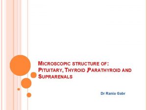 MICROSCOPIC STRUCTURE OF PITUITARY THYROID PARATHYROID AND SUPRARENALS
