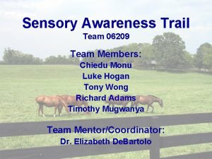 Sensory Awareness Trail Team 06209 Team Members Chiedu