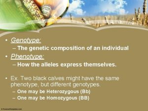 Genotype The genetic composition of an individual Phenotype