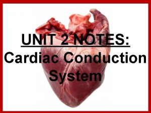 UNIT 2 NOTES Cardiac Conduction System 1 Conduction