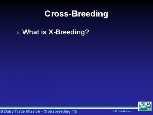 CrossBreeding What is XBreeding AB Dairy Trade Mission