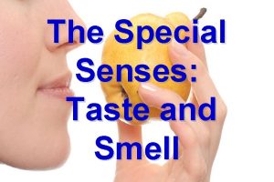 The Special Senses Taste and Smell Taste taste
