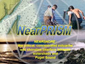 NEARSHORE the critical concentrated estuarine and shoreline interface