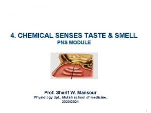 4 CHEMICAL SENSES TASTE SMELL PNS MODULE Prof