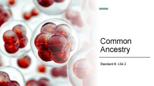 Common Ancestry Standard 8 LS 4 2 DQ