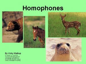 Homophones By Vicky Walkup 3 rd grade L