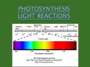 PHOTOSYNTHESIS LIGHT REACTIONS Pigments substances that absorb light