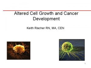 Altered Cell Growth and Cancer Development Keith Rischer