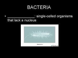 BACTERIA singlecelled organisms that lack a nucleus Bacterial