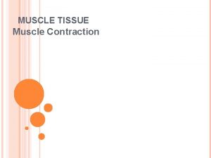 MUSCLE TISSUE Muscle Contraction TYPES OF MUSCLE TISSUE