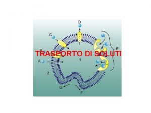 TRASPORTO DI SOLUTI membrane cellulari Separano lambiente cellulare