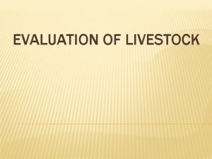 EVALUATION OF LIVESTOCK CATTLE CATTLE Market Breeding Heifers