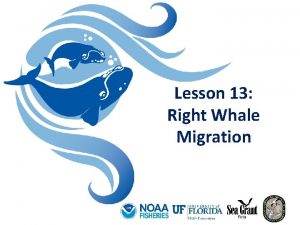 Lesson 13 Right Whale Migration What is migration