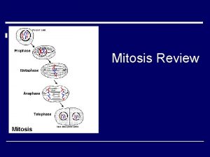 Mitosis Review Mitosis Review o 1 What is