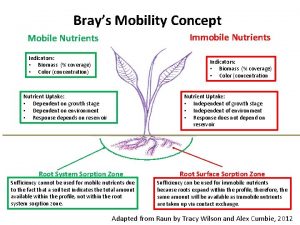 Brays Mobility Concept Immobile Nutrients Mobile Nutrients Indicators