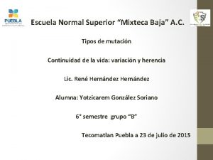 Escuela Normal Superior Mixteca Baja A C Tipos