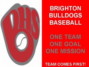 BRIGHTON BULLDOGS BASEBALL ONE TEAM ONE GOAL ONE