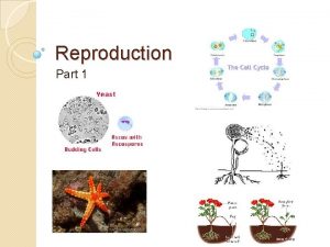 Reproduction Part 1 Reproduction and development are necessary