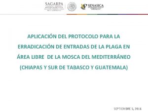 APLICACIN DEL PROTOCOLO PARA LA ERRADICACIN DE ENTRADAS