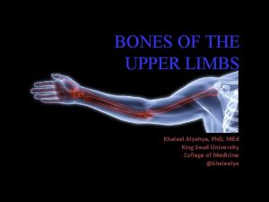 BONES OF THE UPPER LIMBS Khaleel Alyahya Ph